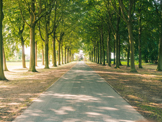 Fototapeta premium Ogrody księcia, Perk, Belgia