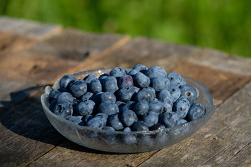 Blaubeeren in flacher Glas-Schüssel