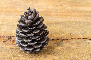 Brown pine and cedar cones on wooden background