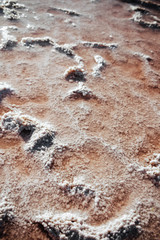 White sand background