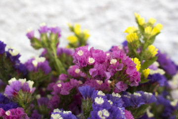 Obraz premium Closeup of limonium flowers in full bloom