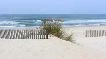 Photo sur Plexiglas Cuisine Tôt le matin à la plage de Vagueira avec avoine de mer et clôture de dunes à Aveiro, Portugal