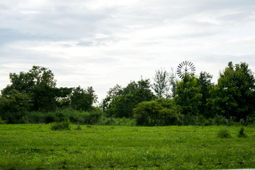 Mountain backyard is quiet and cool.