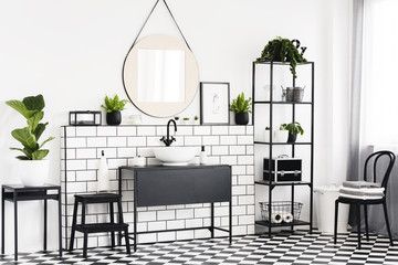 Plant on table and black chair in white bathroom interior with mirror above washbasin. Real photo