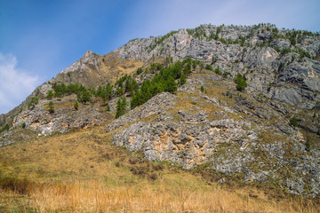 Beautiful rocky green mountain with greenery. Natural textured background with rock and sky.