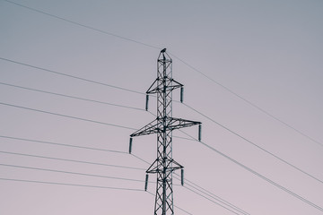 Posts with wires of high voltage on background of sky in sunlight. Monochrome backdrop image of many wires in sky with copy space. Power lines in faded tones.