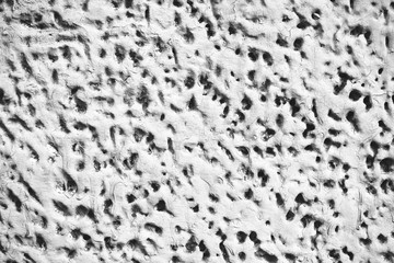 Detailed imperfect white texture of aerated foam block with holes close-up. Side of building is painted whitish. Background of construction from foamed material in macro. Decorative facing of house.