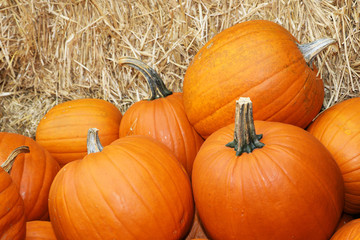 A collection of orange pumpkins lie on straw at an autumn market in Switzerland