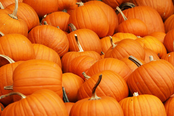 A collection of orange pumpkins on an autumn market in Switzerland