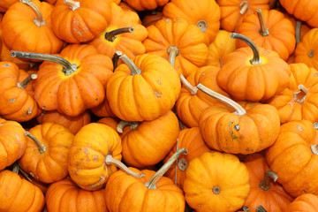 A collection of orange pumpkins on an autumn market in Switzerland