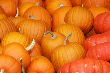 A collection of orange pumpkins on an autumn market in Switzerland