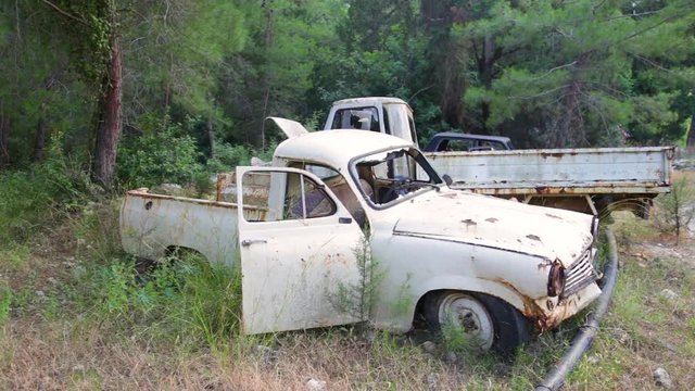 Closeup view of old rusty abandoned cars with peeling paint standing in wood outdoors. Real time full hd video footage.