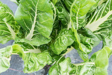 Organic orchard cultivation