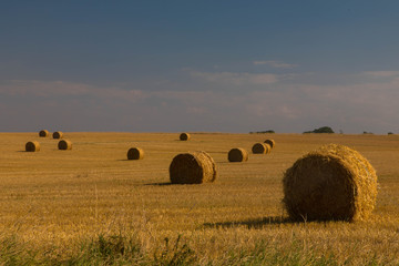 Weizenballen - Abendstimmung