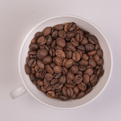 Coffee seeds on a colored background