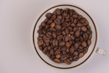 Coffee seeds on a colored background