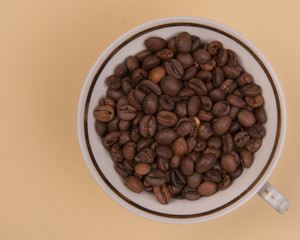 Coffee seeds on a colored background