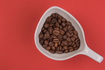 Coffee seeds on a colored background