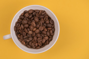 Coffee seeds on a colored background