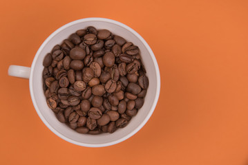 Coffee seeds on a colored background