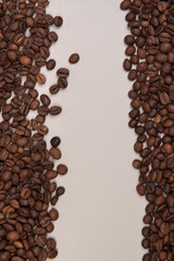 Coffee seeds on a colored background