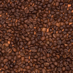 Coffee seeds on a colored background