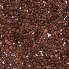 Coffee seeds on a colored background