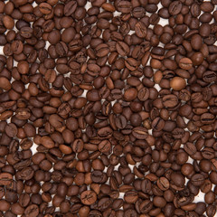 Coffee seeds on a colored background