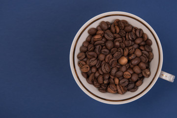 Coffee seeds on a colored background