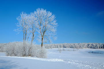Winterstimmung auf der Schwaebischen Alb