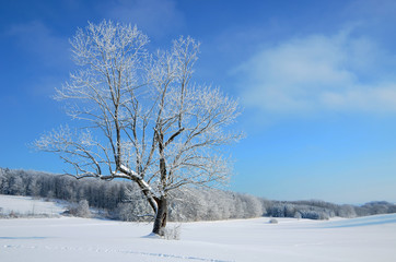 Fototapeta na wymiar Winterlandschaft auf der Schwaebischen Alb