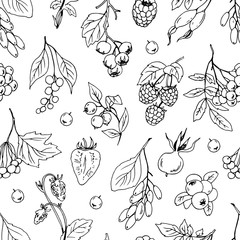 Different berries seamless vector pattern.