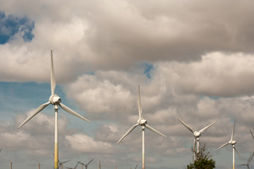 Large view on the windmills on the field