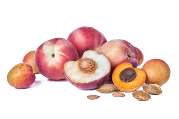 Fresh delicious apricot and peach fruits isolated on white background