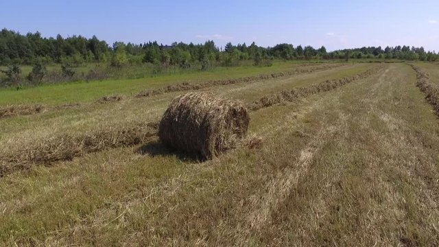 Agronomic fields from the haystack. Harvesting and mowing of grass for livestock feeding.