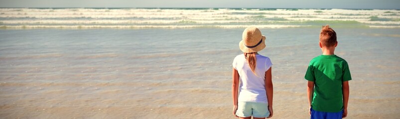 Rear view of siblings standing at beach