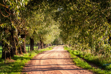 Wiejskie klimaty Podlasia