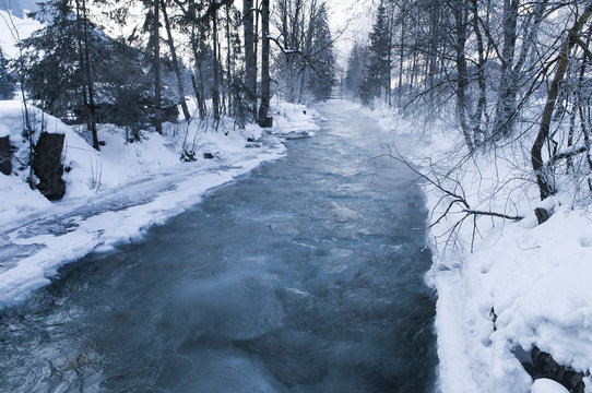 Saane im Winter II