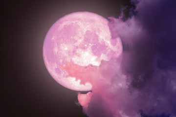 Fototapeta premium super pełny różowy księżyc z powrotem sylwetka nocne niebo
