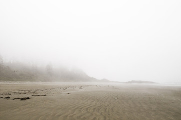 nebliger Strand nahe Tofino