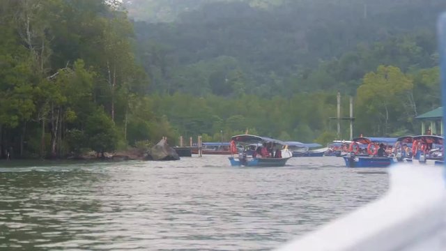 Boats On Water Source Near Trees - Pan - Right To Left 