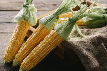 close up view of ripe corn cobs in box with sack cloth on wooden surface