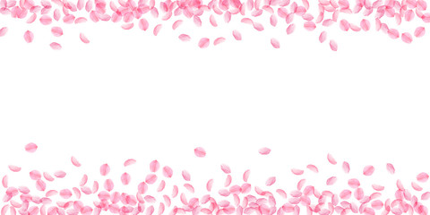 Sakura petals falling down. Romantic pink silky medium flowers. Thick flying cherry petals. Wide sca
