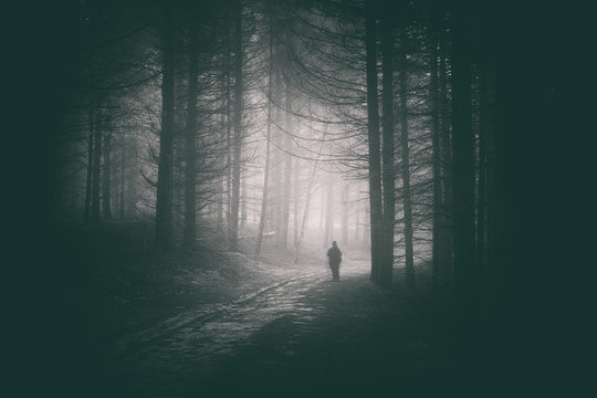 Fototapeta Peson walking in path of dark and mysterious forest