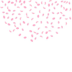 Sakura petals falling down. Romantic pink silky small flowers. Sparse flying cherry petals. Top semi
