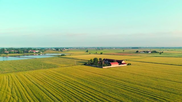 Aerial: flying over rice paddies, flooded cultivated fields farmland rural italian countryside, agriculture occupation, sprintime in Piedmont, Italy 