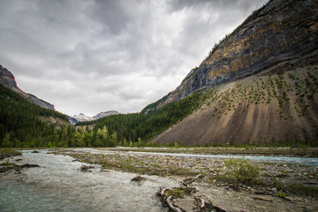 Mountain Valley Streams