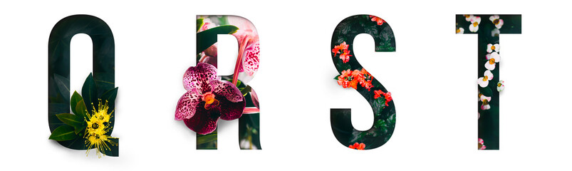 Flower font Alphabet q, r, s, t, made of Real alive flowers with Precious paper cut shape of letter. Collection of brilliant flora font for your unique decoration in spring, summer & many concept idea