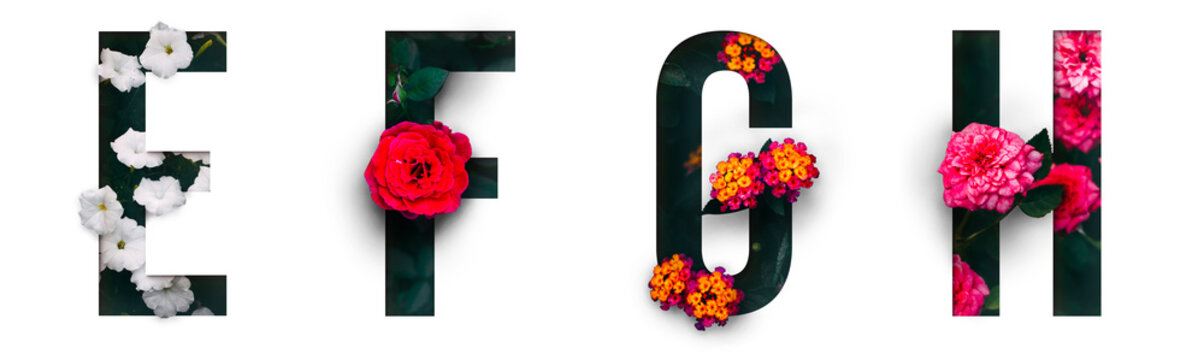 Flower Alphabet Images – Browse 289,107 Stock Photos, Vectors, and Video |  Adobe Stock
