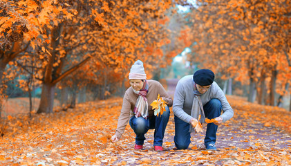 buntes Herbstlaub sammeln